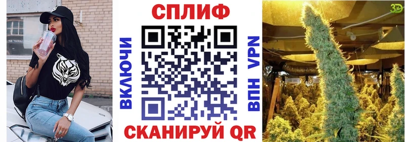 Где купить наркотики Весьегонск Канабис Галлюциногенные грибы ГАШ