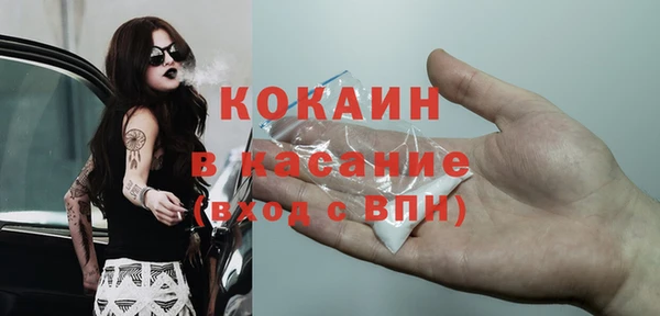 соль ск Дмитриев