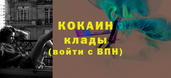 a pvp Бородино