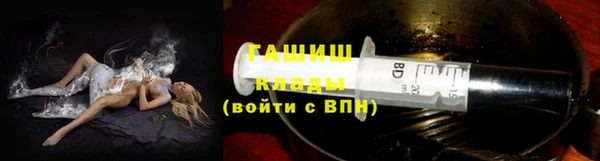 a pvp Бородино