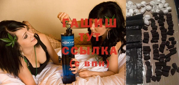 a pvp Бородино