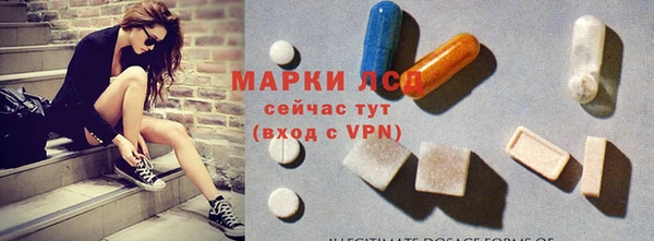 a pvp Бородино